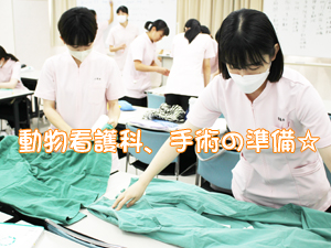 手術の準備をして実習！